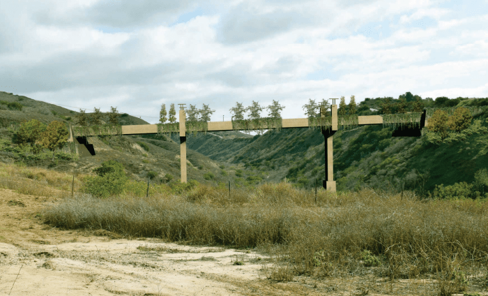 esperanza-hills-bridge